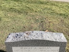 Bob
                    McLean