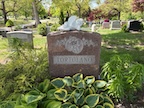 Marilyn Tortolano nee Colwell